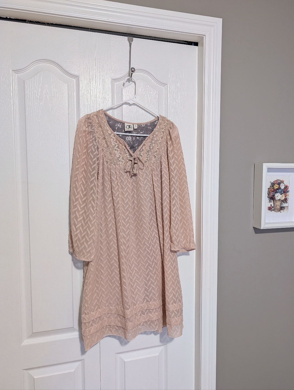 Anthropologie Blush Pink Anwen Boho Dress (Size Small)